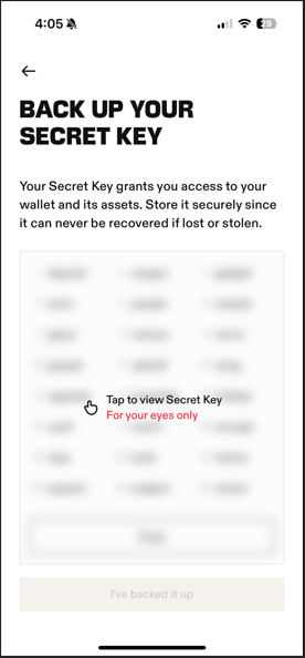 Seed phrase, secret key on Leather wallet app
